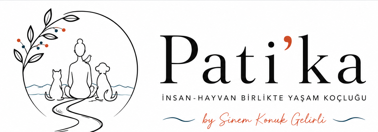 Pati'ka